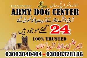Army Dog Center Pakistan Headquarter 