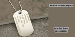 What Are Army Dog Tags For