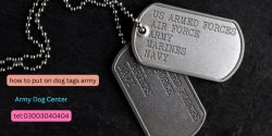 Put on Dog Tags in the Army