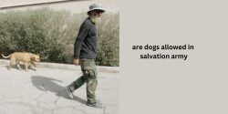 Are Dogs Allowed In The Salvation Army?