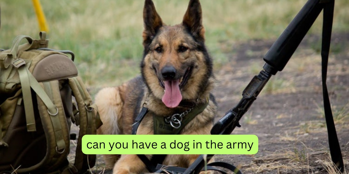 Can You Have A Dog In The Army