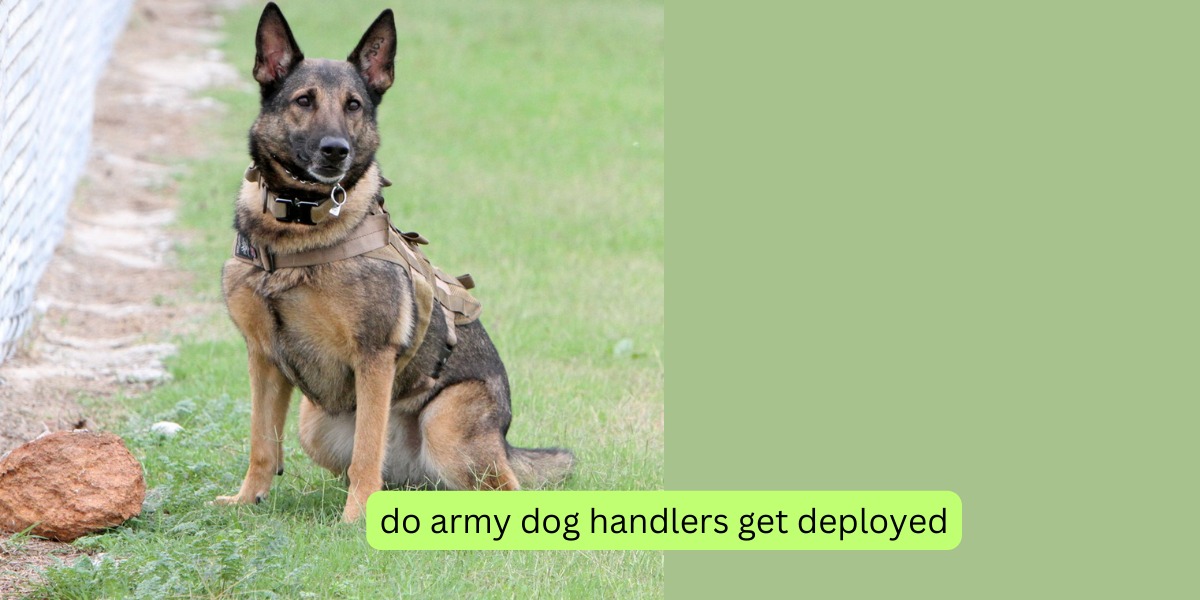 Do Army Dog Handlers Get Deployed?