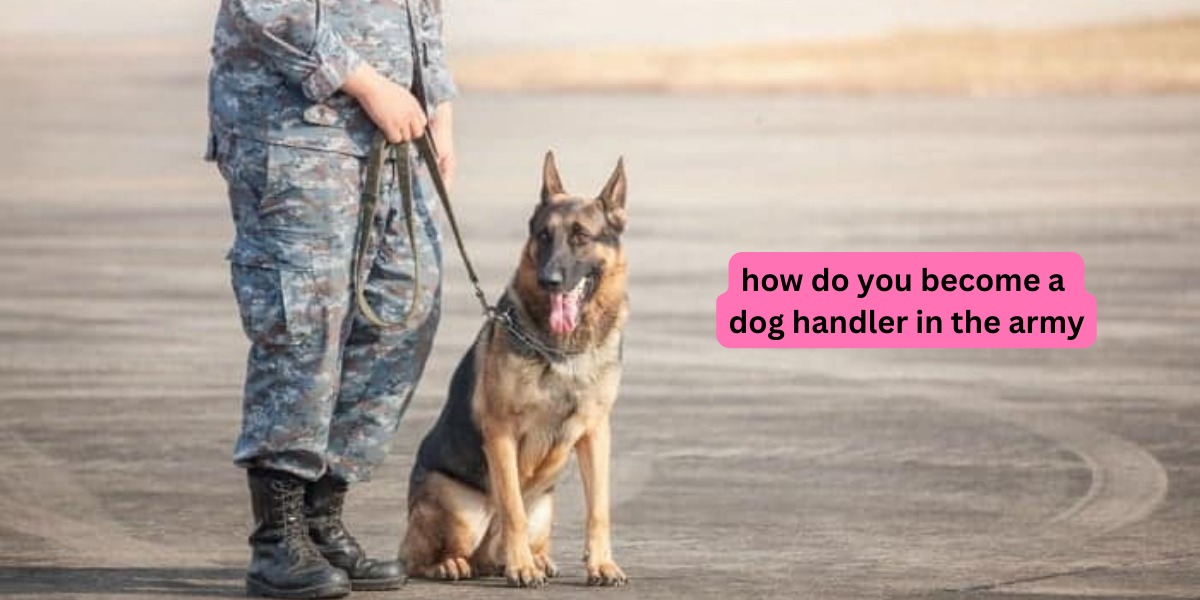 How Do You Become A Dog Handler In The Army