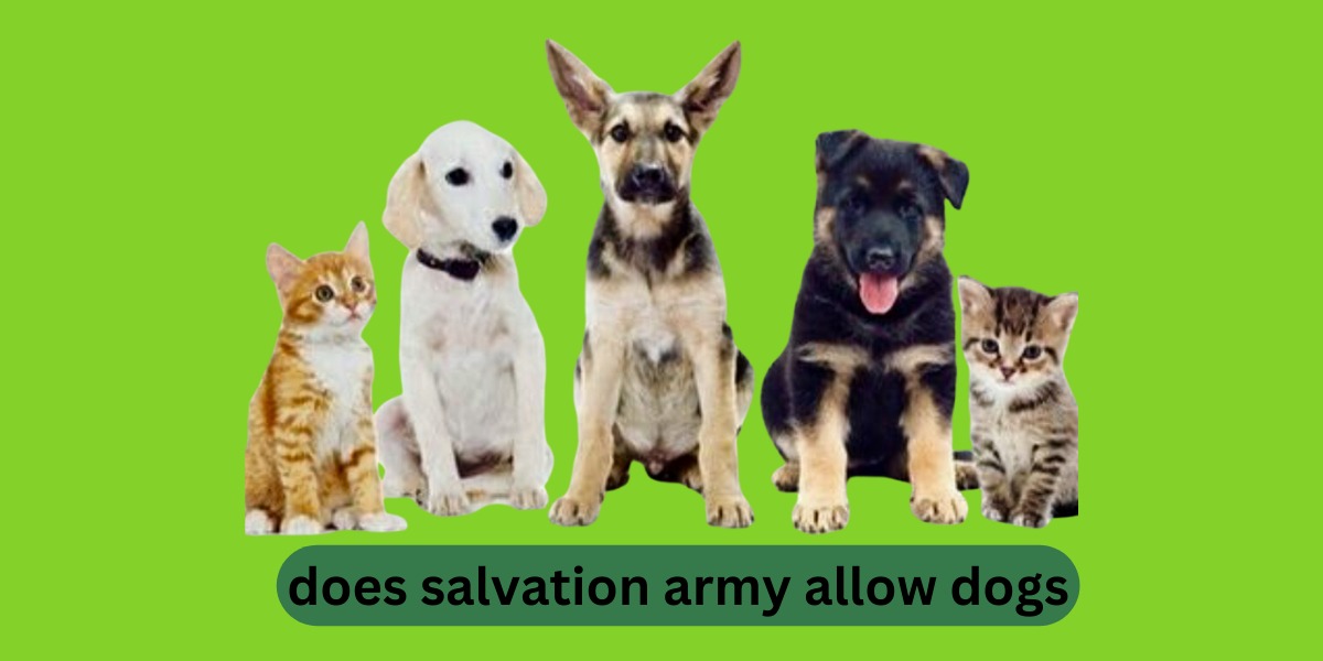 Does Salvation Army Allow Dogs?