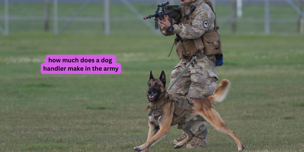 How Much Do They Make at the Army Dog Center