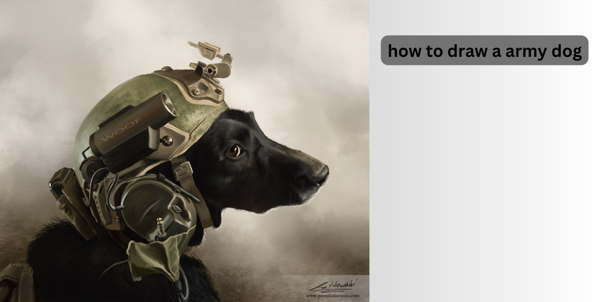 Learn How To Draw An Army Dog?