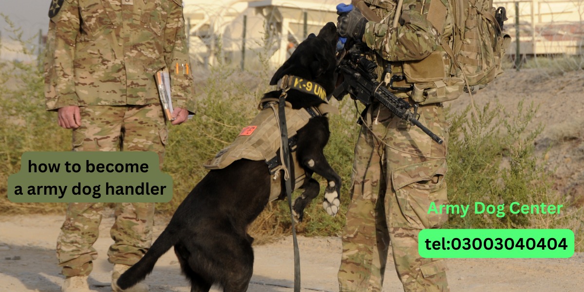 How to Become an Army Dog Handler?
