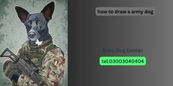 Learn How To Draw An Army Dog?