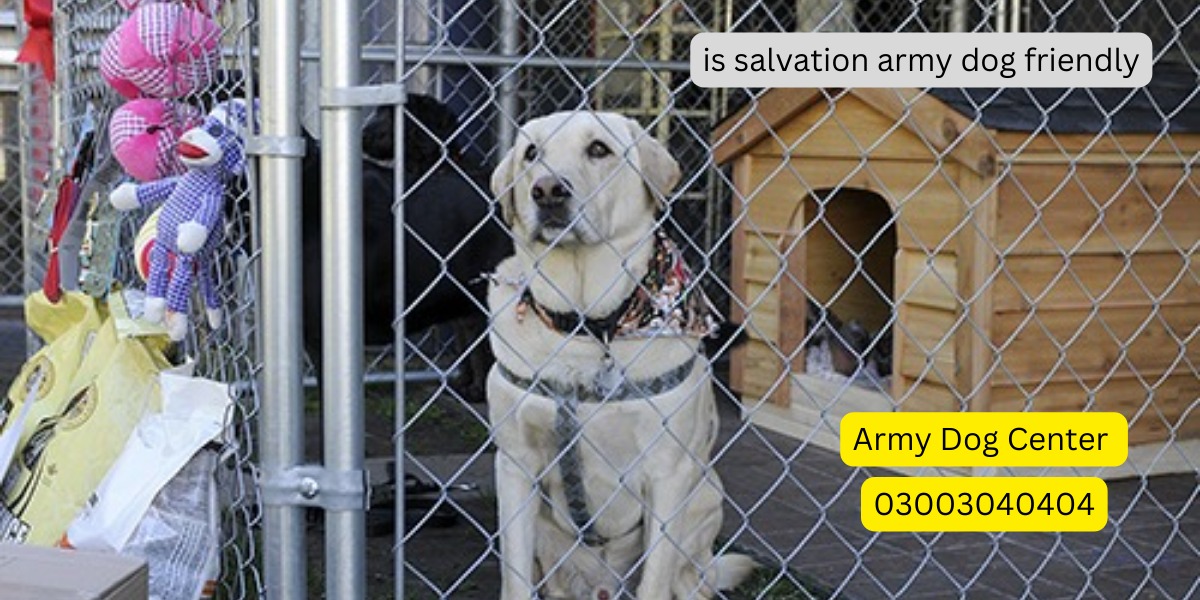 Is Salvation Army Dog Friendly?