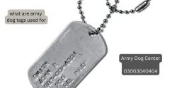 What Are Army Dog Tags Used For