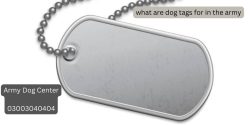 Dog Tags in the Army
