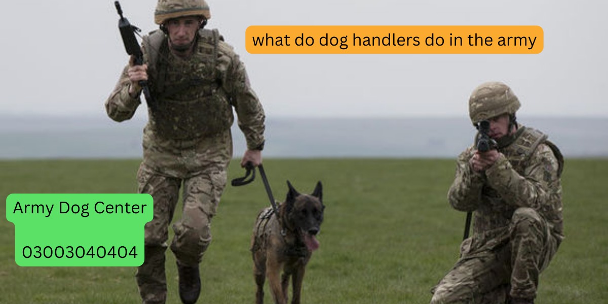Dog Handlers Do In The Army