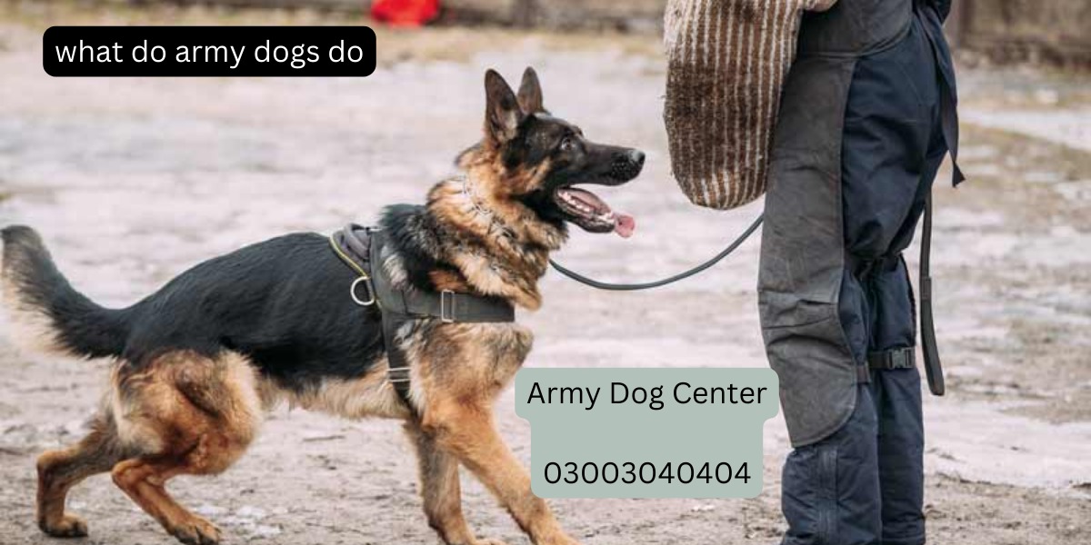 What Do Army Dogs Do?