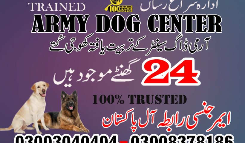 Army Dog Center Hyderabad Contact Number 03003040404