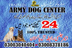 Army Dog Center in OkaraContact Number 03003040404