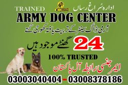 Army Dog Center in Okara and Faisalabad Army Dog Center Rawalpindi's No. 01 Army Dog Center