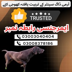 Army Dogs center in Sargodha