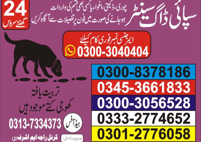 Attention all dog lovers! 🐶 Are you tired of searching for the perfect grooming and training center for your furry friend? Look no further! I have some exciting news to share with you all. 🎉🎉 Introducing Khoji Kutta and Khoji Dog Center in Pakistan, a one-stop solution for all your dog's needs. 🐾 With state-of-the-art facilities and a team of trained professionals, your beloved pooch will receive top-notch care and attention. From grooming and obedience training to specialized services like therapy and agility training, Khoji Kutta has got it all covered. 🏆 But what sets Khoji Kutta apart from other dog centers is their commitment to giving back to the community. By providing free training and adoption services to stray dogs, they are not only improving the lives of these animals but also making a positive impact on society. 🌎 So whether you have a pampered pet or a rescued stray, Khoji Kutta is the perfect place for them to thrive. Don't just take my word for it, come and see for yourself. 🐾 Visit Khoji Kutta and give your furry friend the love and care they deserve. ❤️ #K #khojikutta #dogofthestreets #straydog #streetdog #rescuedog #adoptdontshop #animallover #doglover #furbaby #pet #animalrescue #indogwetrust #dogmom #dogdad #dogsofinstagram #doglife #dogpark #doghouse #dogtreats #dogtraining #dogwalker