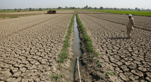 “Halting Growth: Pakistan’s Agriculture Sector Struggles Amid Water Crisis &…