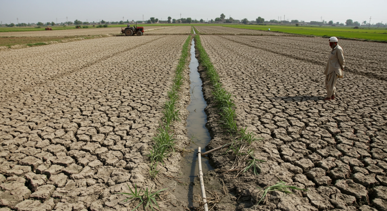 “Halting Growth: Pakistan’s Agriculture Sector Struggles Amid Water Crisis & Policy Flaws”